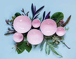 И.о. президента Южной Кореи Хан Док Су ушёл в отставку