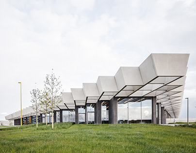 Отбывшего срок за педофилию волейболиста Стивена ван де Вельде освистали на Олимпиаде