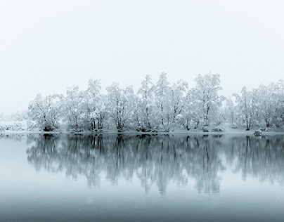 Задержанную после поджога отдела полиции обвинили в терроризме