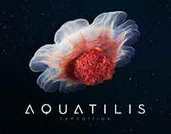 КНДР отправила в Южную Корею воздушные шары с мусором